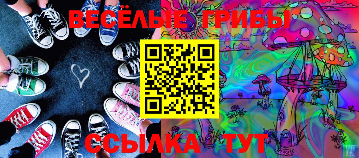 Галлюциногенные грибы GOLDEN TEACHER  Вход с VPN  Новоуральск  Псилоцибиновые грибы Psilocybe 